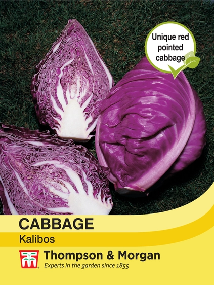 Cabbage Kalibos F1 - image 1