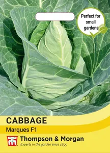 Cabbage Marques F1 - image 1