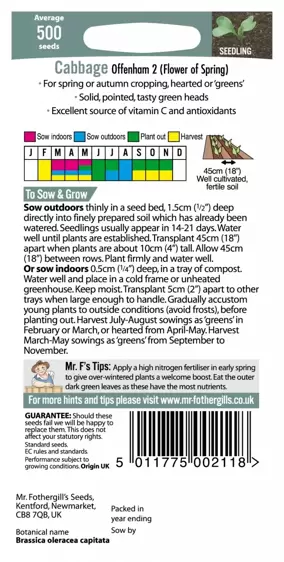 Cabbage Offenham 2 (Flower Of Spring) - image 2