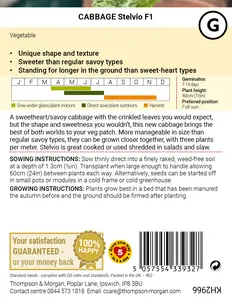Cabbage (Pointed Savoy) Stelvio F1 Seeds - image 2