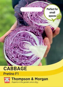 Cabbage Pretino F1 - image 1