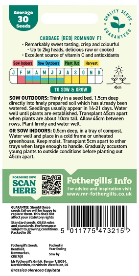 Cabbage (Red) Romanov F1 - image 2