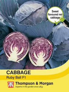 Cabbage Ruby Ball F1 - image 1