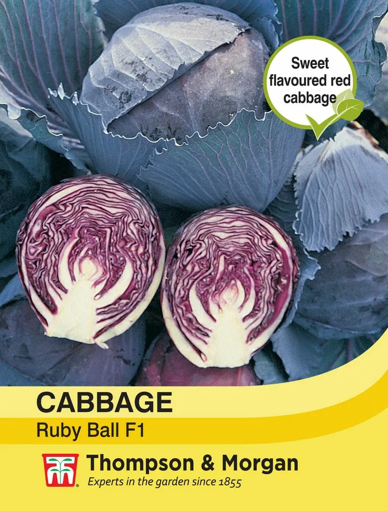 Cabbage Ruby Ball F1 Cowell's Garden Centre Woolsington