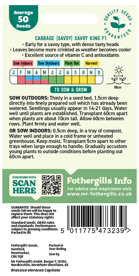 Cabbage (Savoy) Savoy King F1 Seeds - image 2