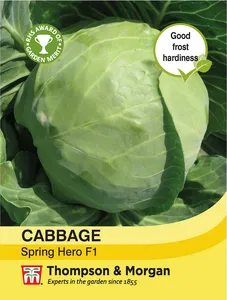 Cabbage Spring Hero F1 - image 1
