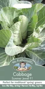 Cabbage Summer Jewel F1 - image 1