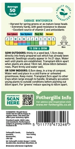 Cabbage Wintergreen - image 2