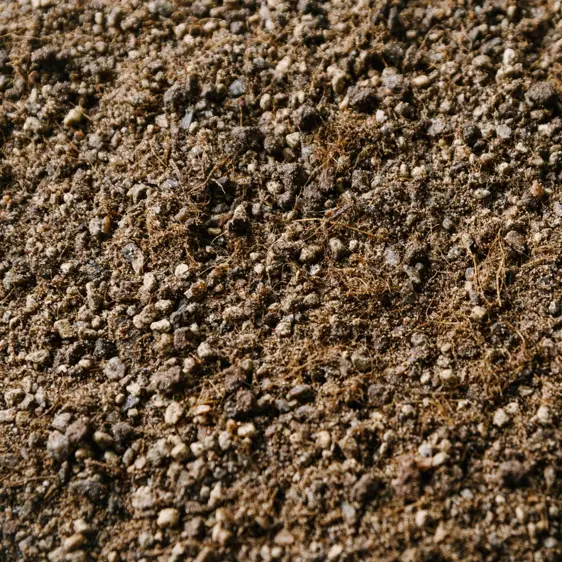 Cacti & Succulent Soil Mix Blend 2.5L - image 1
