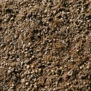 Cacti & Succulent Soil Mix Blend 2.5L - image 2