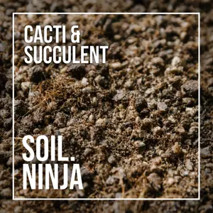 Cacti & Succulent Soil Mix Blend 2.5L - image 2