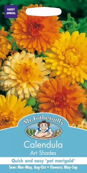 Calendula Art Shades - image 1