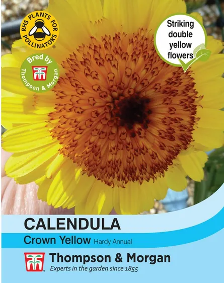 Calendula Crown Yellow - image 1