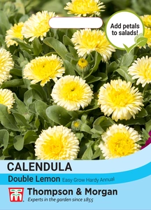 Calendula Double Lemon - image 1