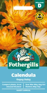 Calendula Oopsy Daisy Seeds - image 1