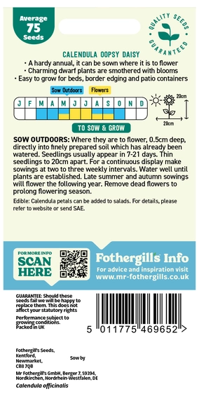 Calendula Oopsy Daisy Seeds - image 2