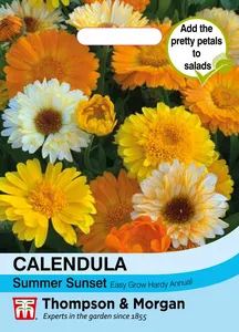 Calendula Summer Sunset - image 1