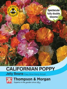 Californian Poppy Jelly Beans - image 1