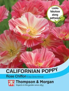 Californian Poppy Rose Chiffon - image 1
