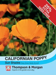 Californian Poppy Sun Shades - image 1