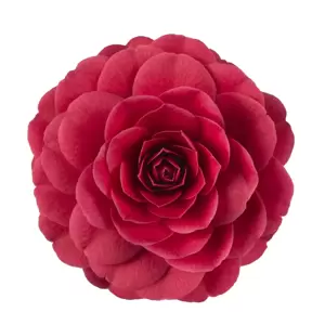 Camellia japonica 'Black Lace' 10L - image 2