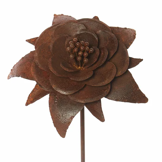 Tom Chambers Camellia Plant Stake - Medium - image 2