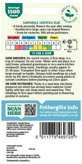 Campanula Carpatica Blue - image 2