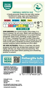 Campanula Carpatica Blue - image 2