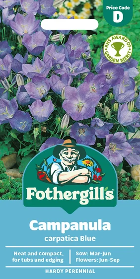 Campanula Carpatica Blue - image 1