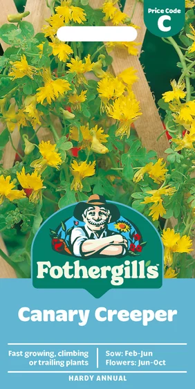 Canary Creeper Seeds - image 1