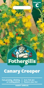 Canary Creeper Seeds - image 1