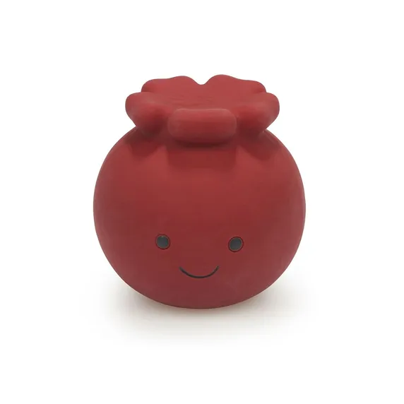 Carrie Cranberry Dog Toy