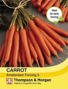 Carrot Amsterdam Forcing 3 - image 1