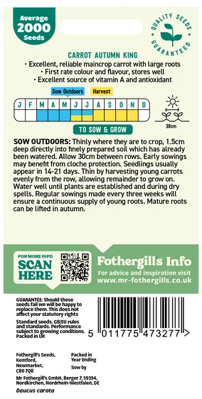 Carrot Autumn King 2 - image 2