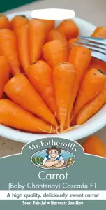 Carrot (Baby Chantenay) Cascade F1 - image 1