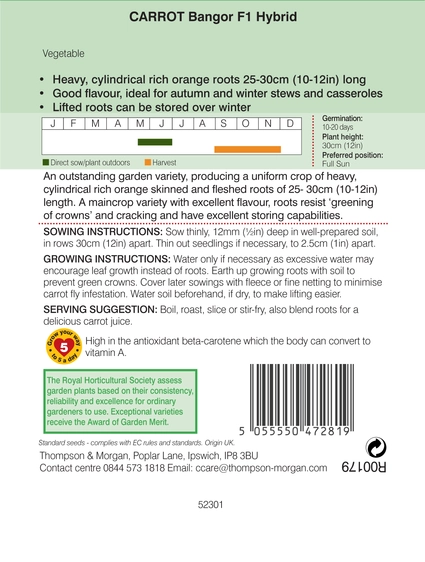 Carrot Bangor - image 2