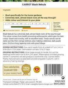 Carrot Black Nebula - image 2