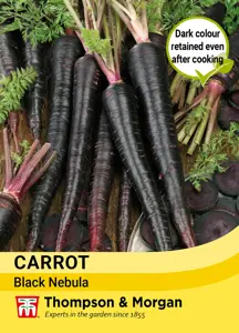 Carrot Black Nebula - image 1