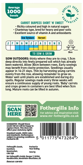 Carrot Burpees Short 'n' Sweet - image 2