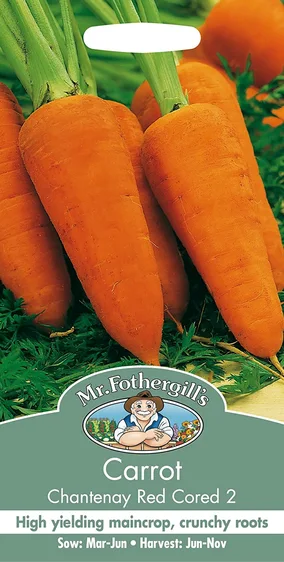 Carrot Chantenay Red Cored 2