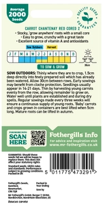 Carrot Chantenay Red Cored 2 - image 2