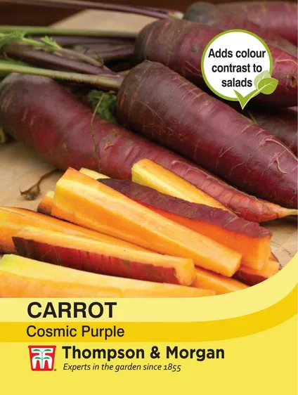 Carrot Cosmic Purple - image 1