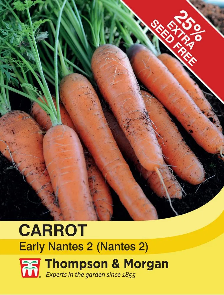Carrot Early Nantes 2 Seeds - Cowell's Garden Centre | Woolsington