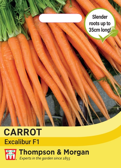Carrot Excalibur F1 - image 1