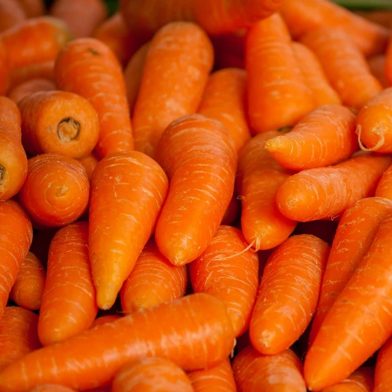 Carrot 'Katrin' 8.5cm
