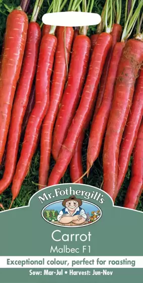 Carrot Malbec F1 - image 1