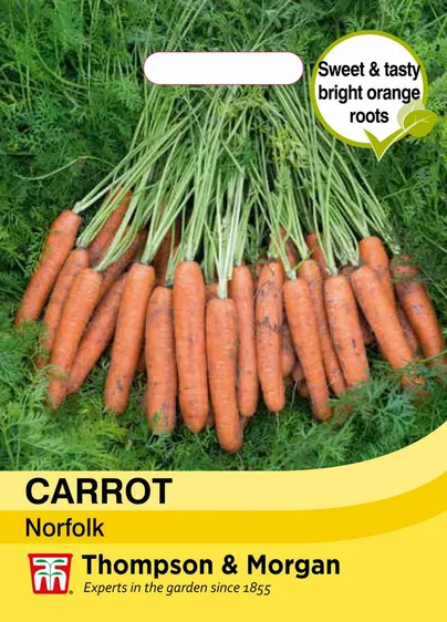 Carrot Norfolk - image 1