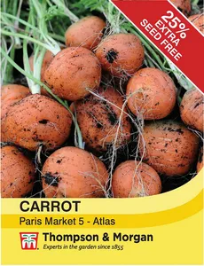 Carrot Paris Market 5 - Atlas - image 1