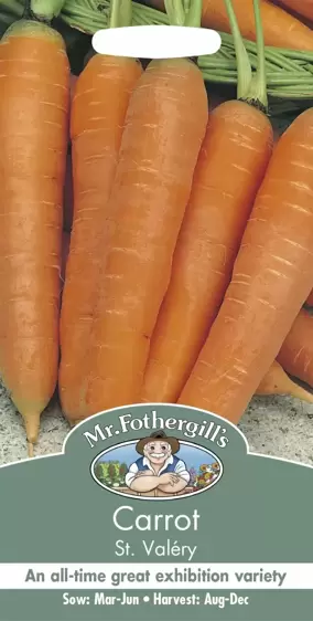 Carrot St Valery - image 1