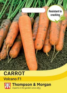Carrot Volcano F1 - image 1